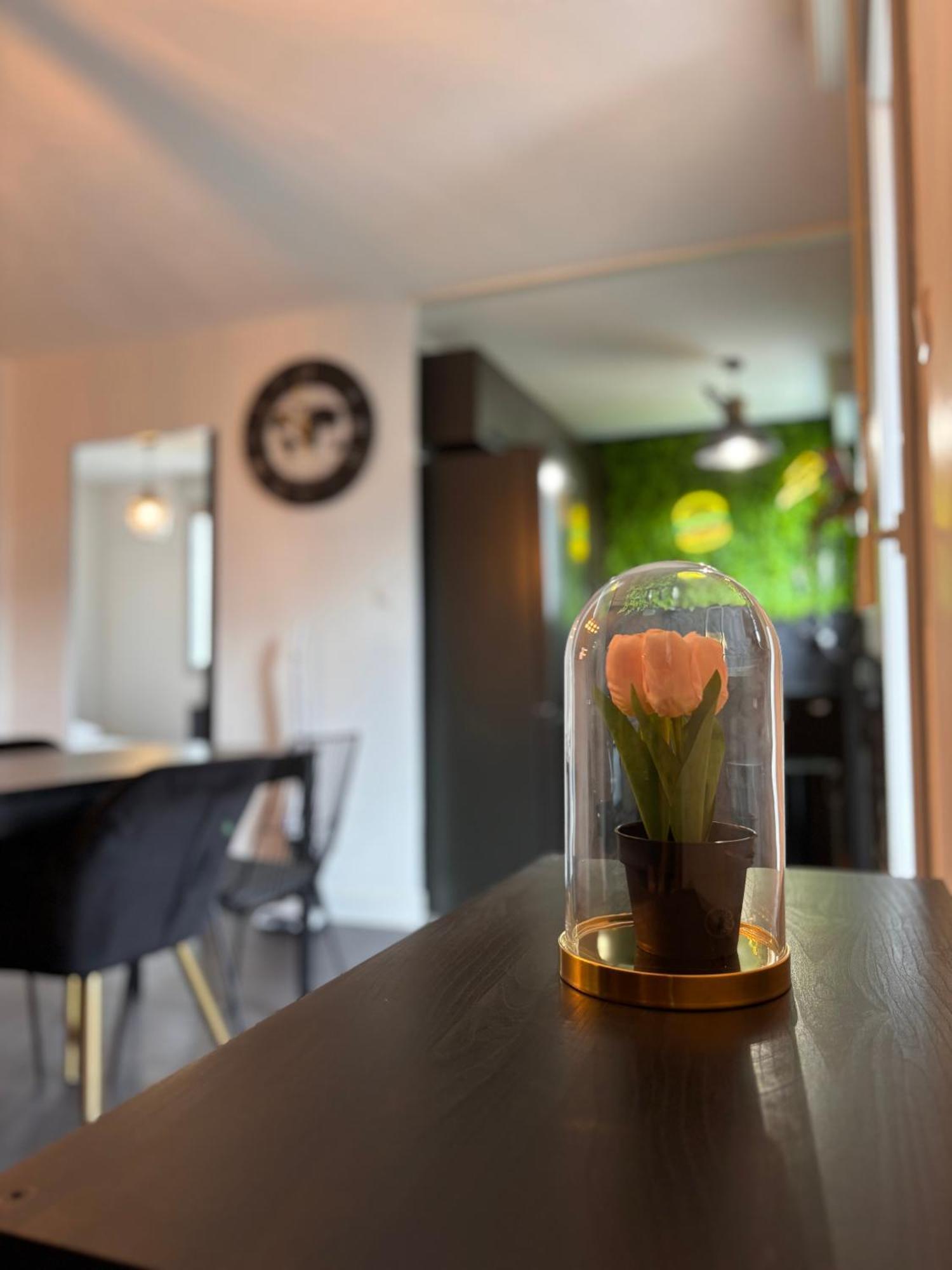 Charmant Appartement 툴루즈 외부 사진